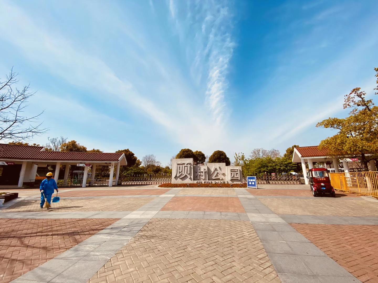 春天必打卡的樱花胜地顾村公园,顾村公园樱花照片视频