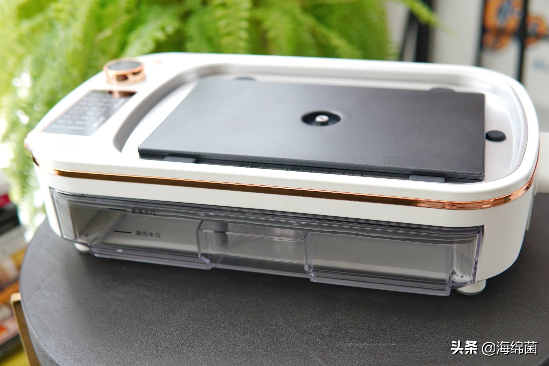 bolali博拉利多功能蒸汽料理锅,蒸汽桑拿锅测评