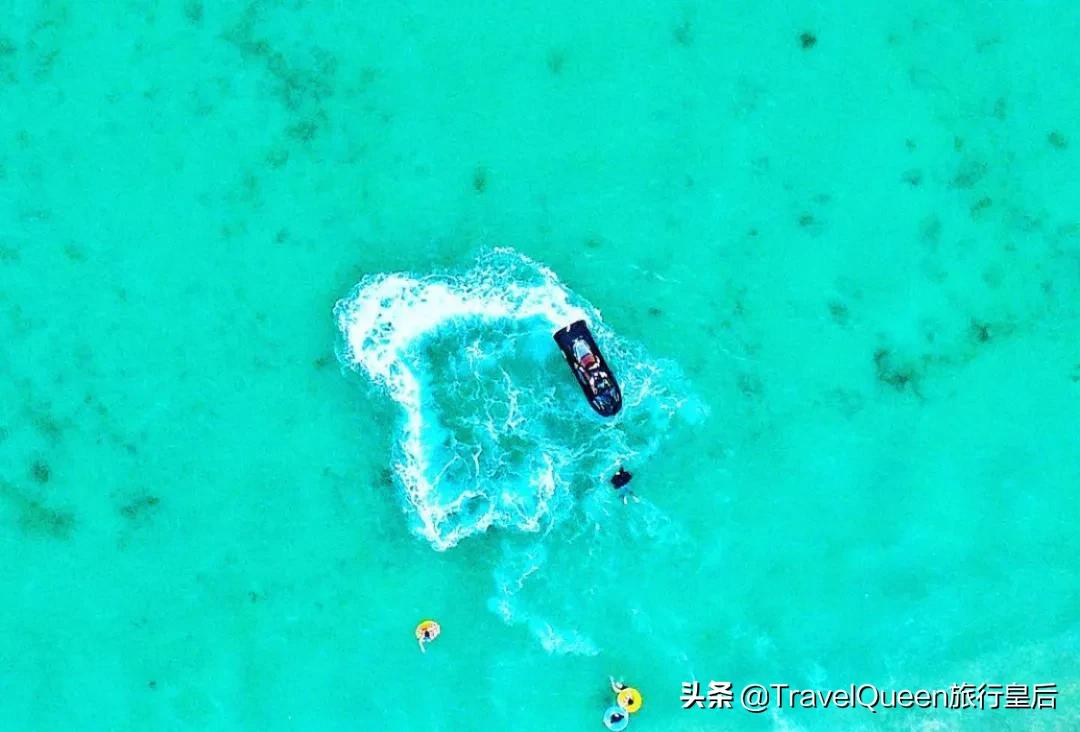 动物森友会无人岛一天可以去几次,动物森友会所有虫类图鉴