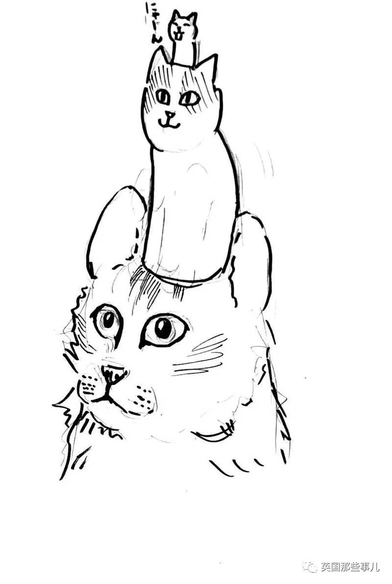 猫咪表情包喵星人,一组有故事的喵星人表情包