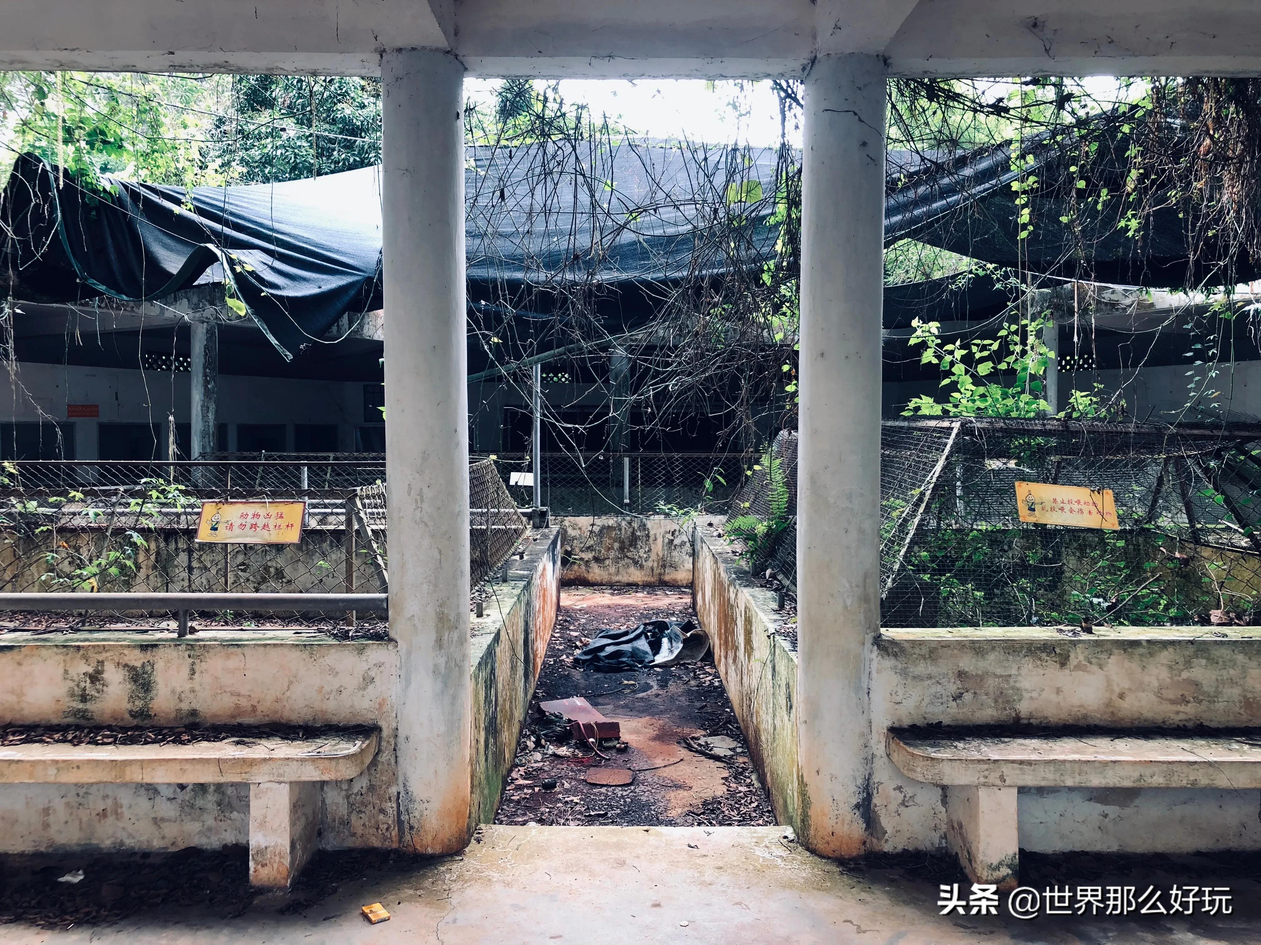 海南金牛岭动物园视频,海口金牛岭公园现在还有动物园吗