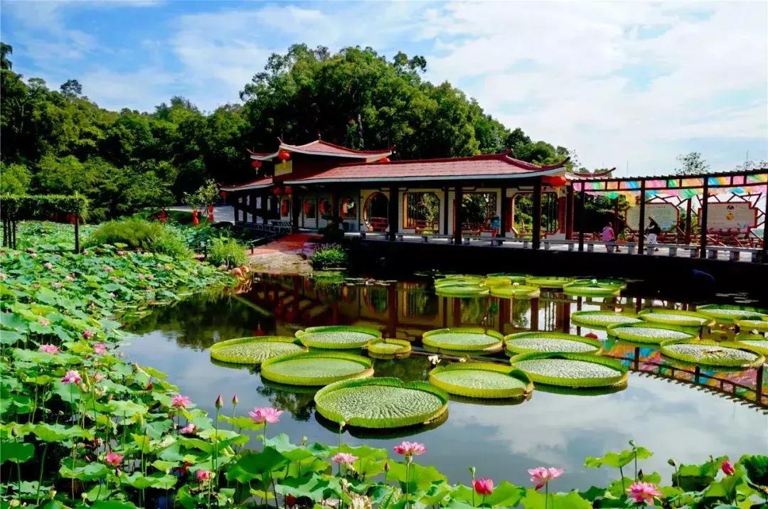 番禺好看的街景,番禺美丽的风光