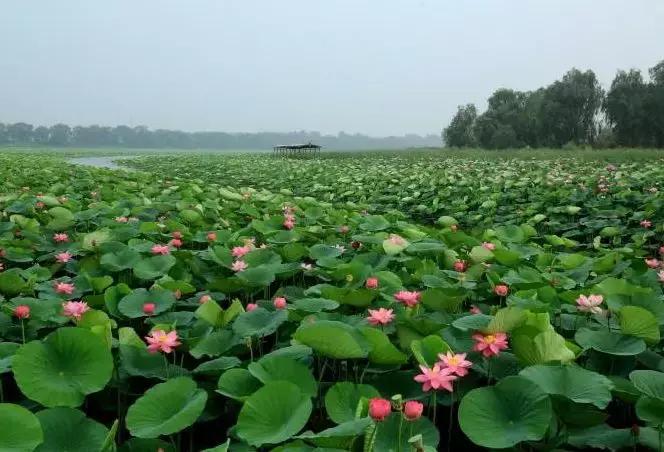 沈阳10大民生实事项目,今年沈阳12件民生实事全面推进