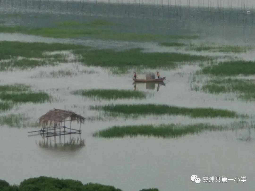 霞浦一中高一新生夏令营,霞浦县夏令营