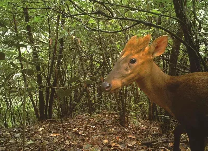 马云去的江西小镇,马云在浙江几个小镇
