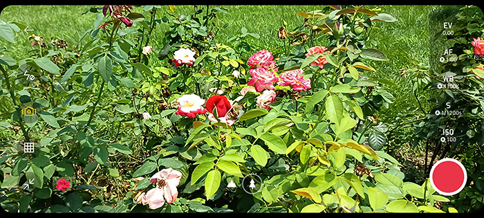 realme真我v5是5g手机吗,realme真我v5是不是全面屏