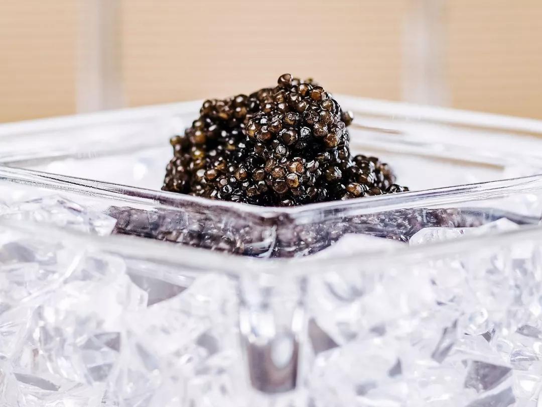 鱼子酱冷知识大全,世界三大珍馐鱼子酱制作方法