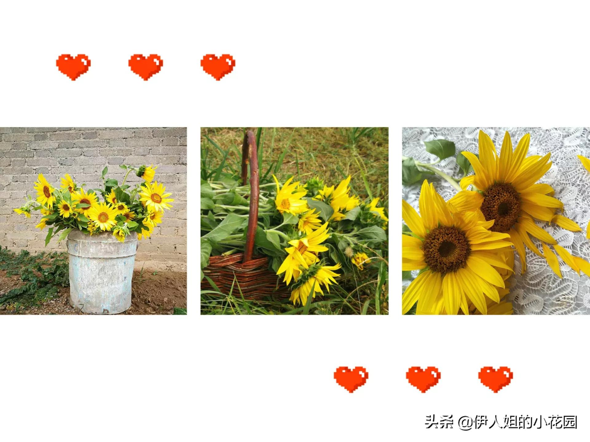 耀州土桥村，我想偷点时光给自己……