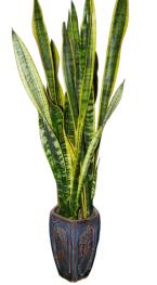 装修过程中如何避免室内空气污染,装修为什么会对室内空气造成污染