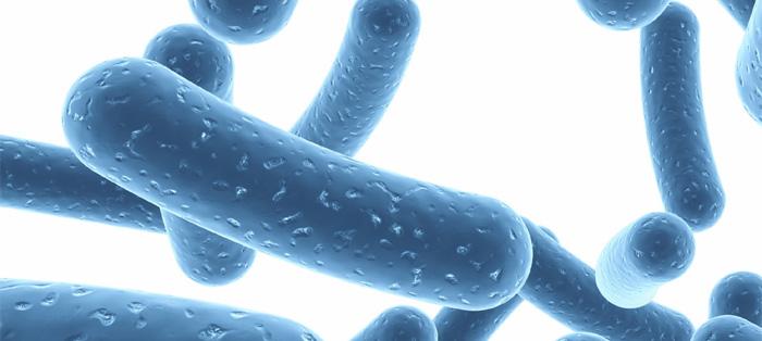 益生菌可以缓解婴儿肠绞痛吗,益生菌能防止婴儿肠绞痛吗