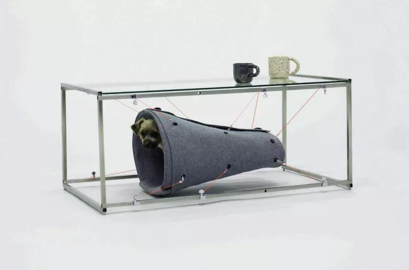 为了养狗装扮了一个房子,为狗狗设计的房子