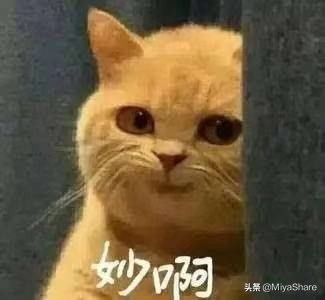 hbn护肤品吐槽,玛莉格护肤品吐槽