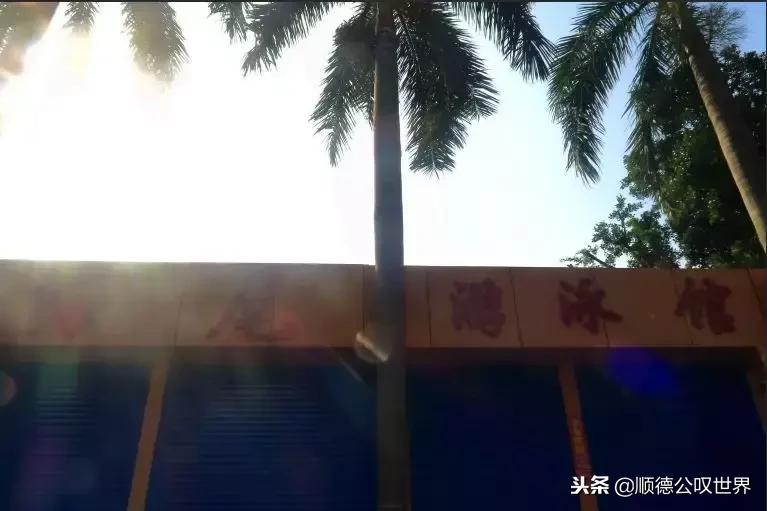 打卡顺德容桂海尾社区，你的家乡美成这样……