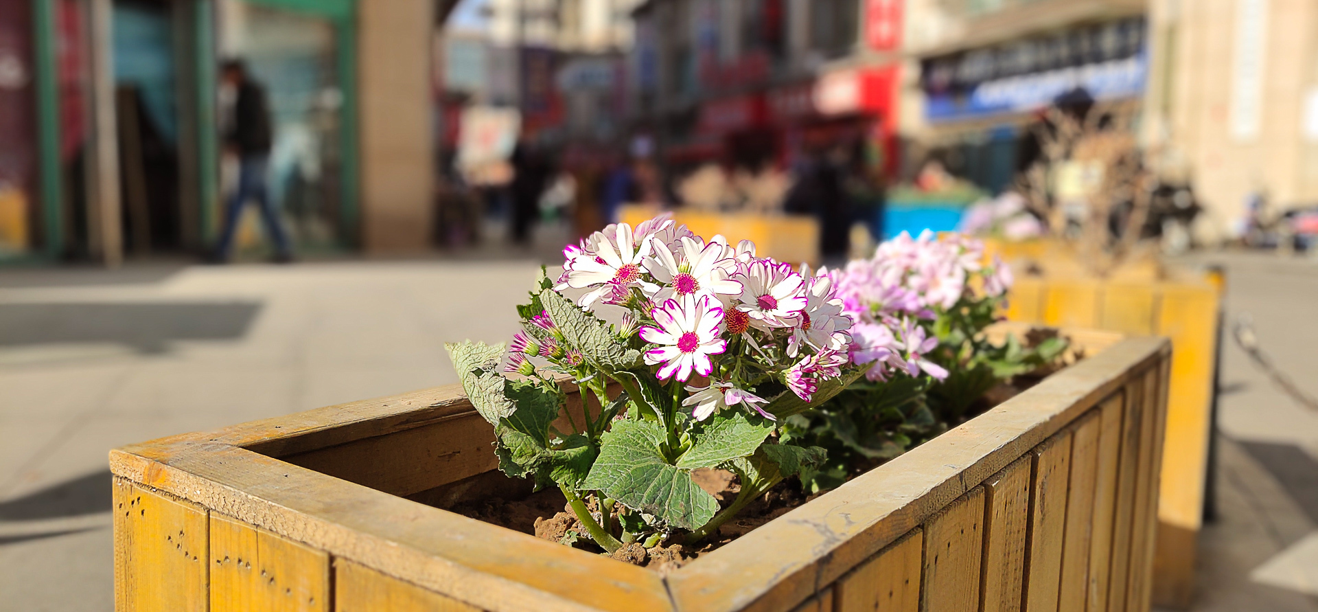 vivoiqoo最高画质玩游戏,vivoiqoo一代性能模式