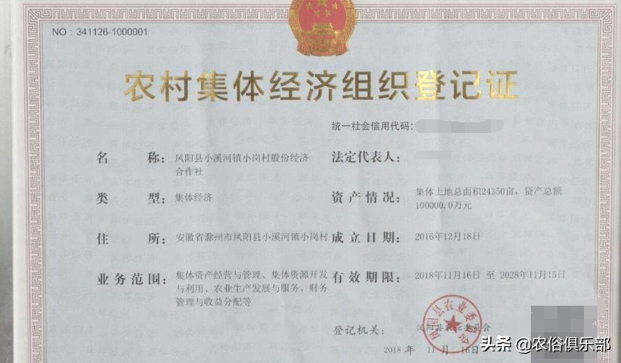 农村集体经济组织股权证如何发放,农村集体经济股权证有什么作用