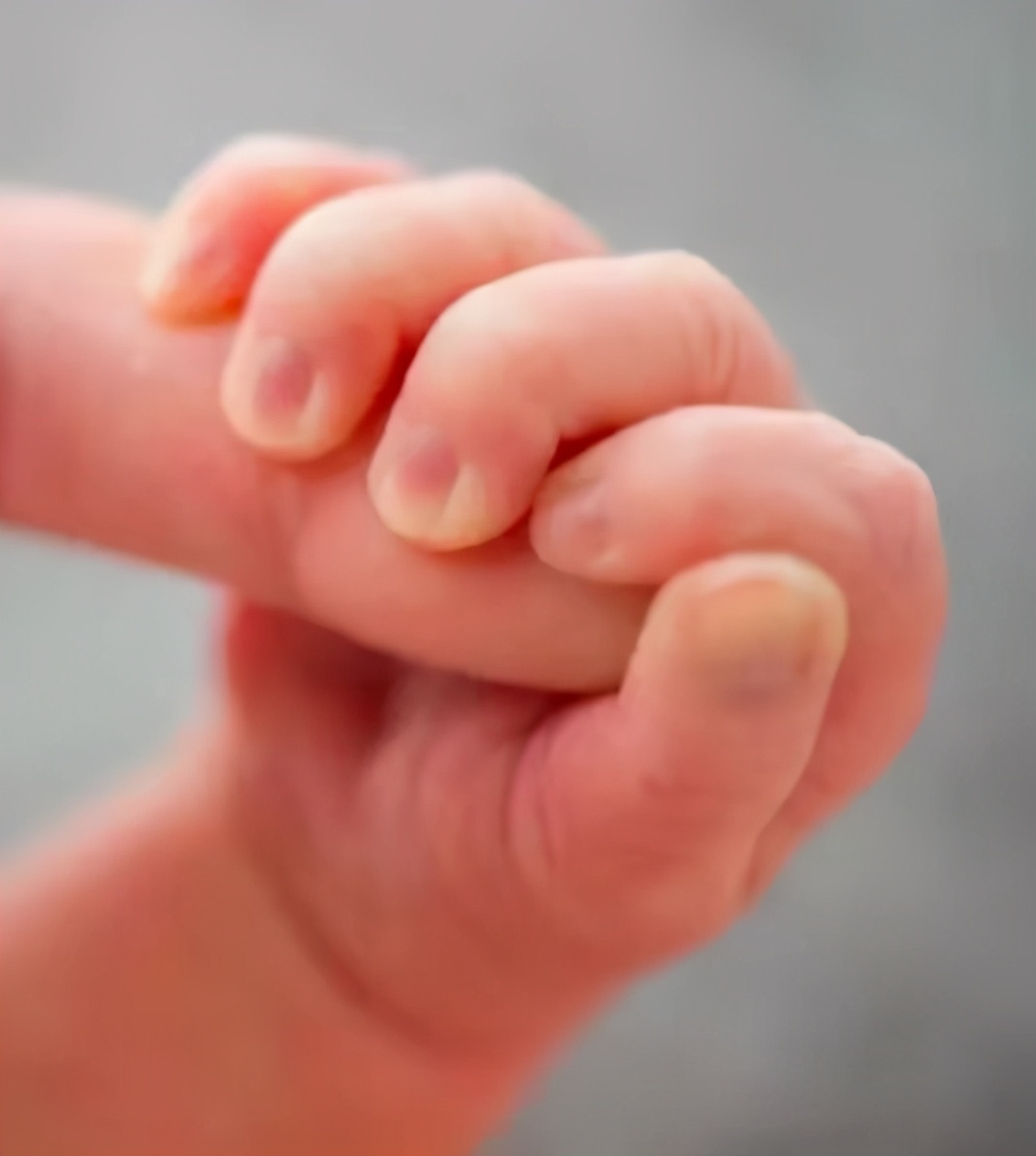 谢霆锋叔叔谢贤,谢霆锋老三谢贤