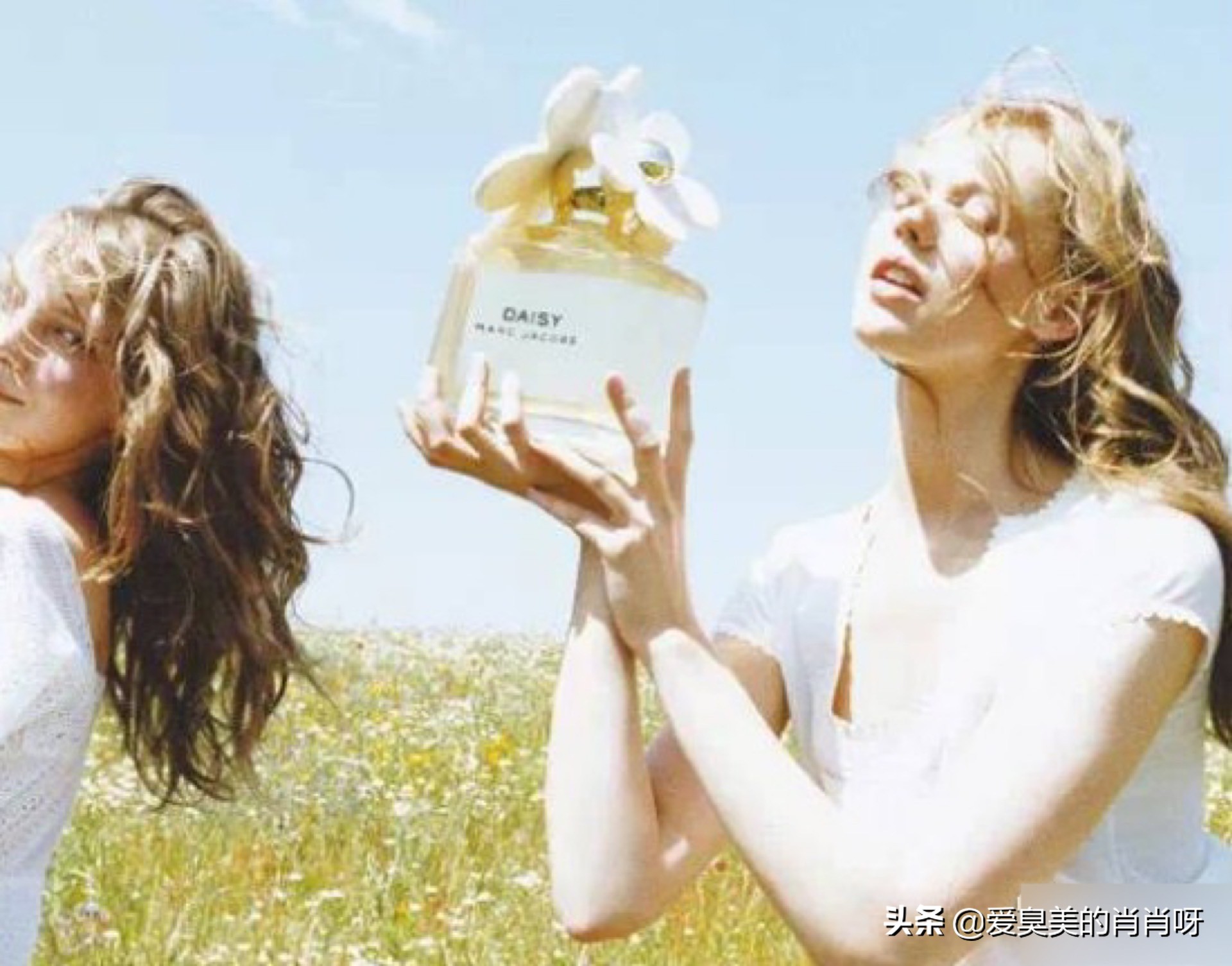 闻香识人爱用的香水,闻香识女人里提到的香水