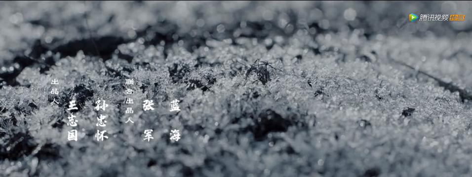 全程高能，开播17分钟不敢走神1秒，这部B级片把他拍活了