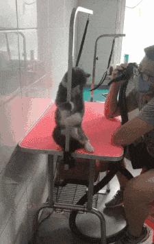 我在学校超市买了一包南京煊赫门收了我19块,我该怎么举报