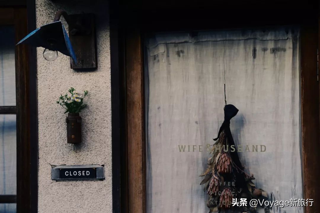 秋天来京都，体验「限定红」的“枫”情万种