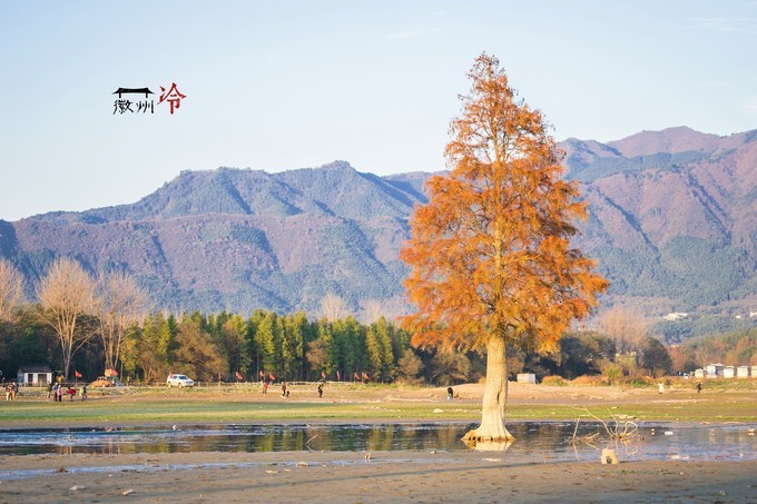「徽州冷」宏村秋深晴少,友谊地久天