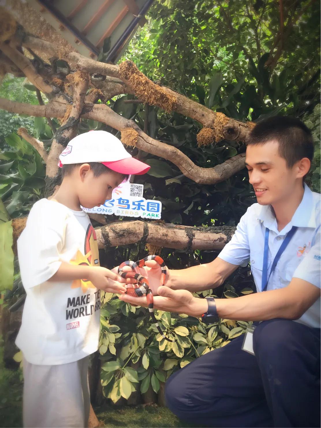 长隆飞鸟乐园拍鸟攻略,广州长隆飞鸟乐园可以摸哪些鸟