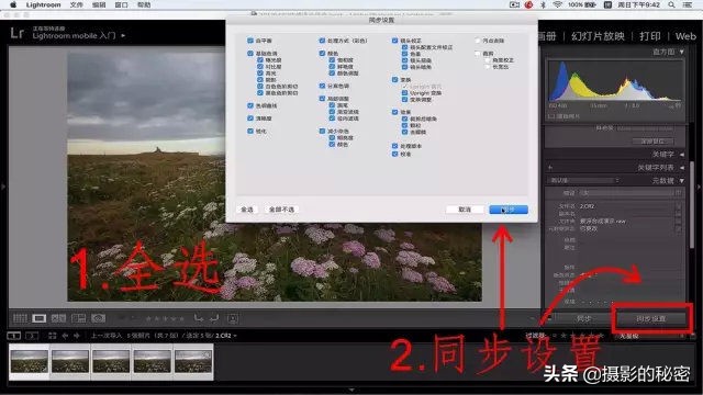 前后景深都清晰合影怎么拍,前后景都拍清晰的方法
