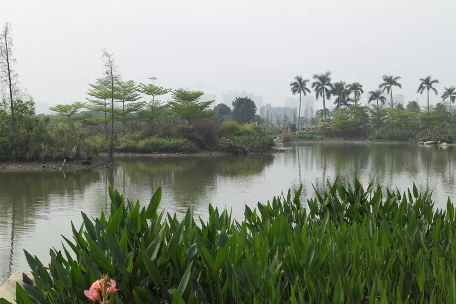 广州免费公园景点大全,广州免费公园排名