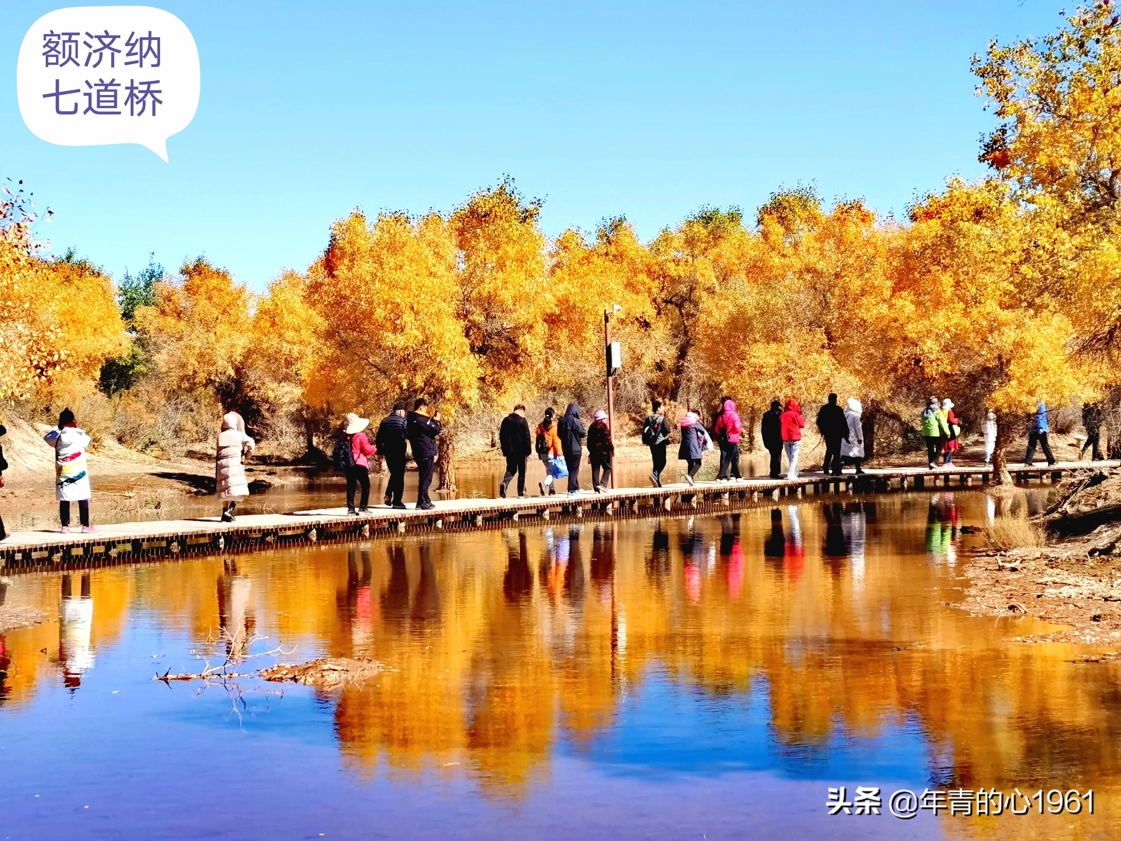 自驾游该怎么玩？（终结篇）