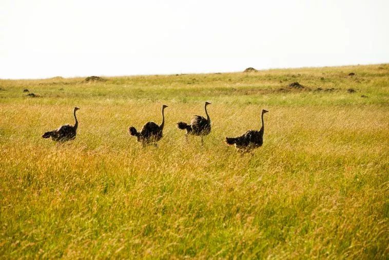 小众蜜月度假地点推荐,小众度蜜月旅游胜地
