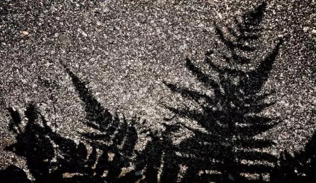 拍摄时如何避免阴影,拍摄时如何控制高光