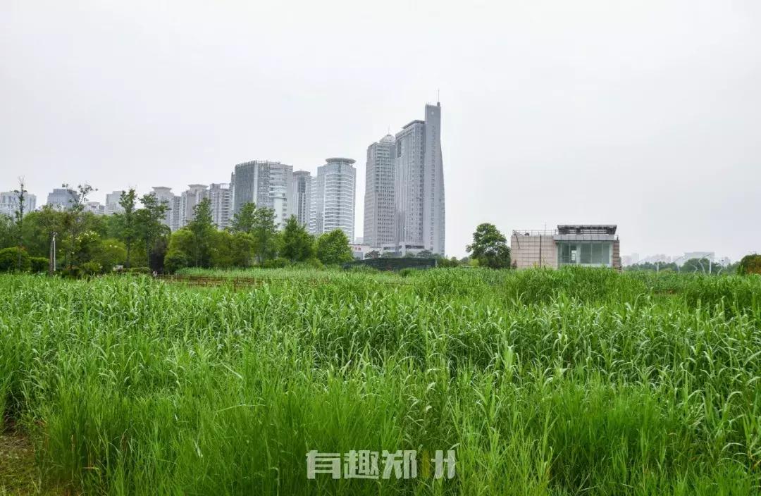 郑州地铁五号线游玩攻略秋季,郑州地铁与5号线沿途有哪些景点