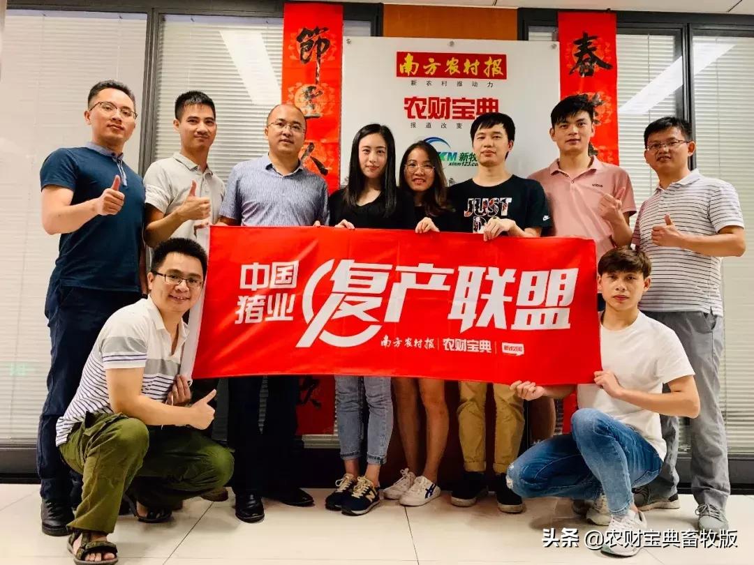 猪价最新母猪行情今日,猪价上涨现在能上后备小母猪了吗