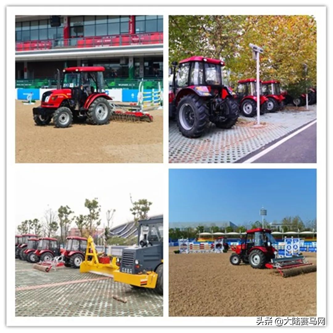 武汉军运会马术比赛,武汉军运会马术比赛是什么马