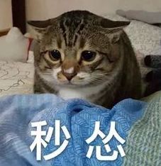 鍛ㄩ缚绁庡洖搴斿厤瑁佸埜,鍛ㄩ缚绁庣粰鍛樺伐鍙戝厤瑁佸埜