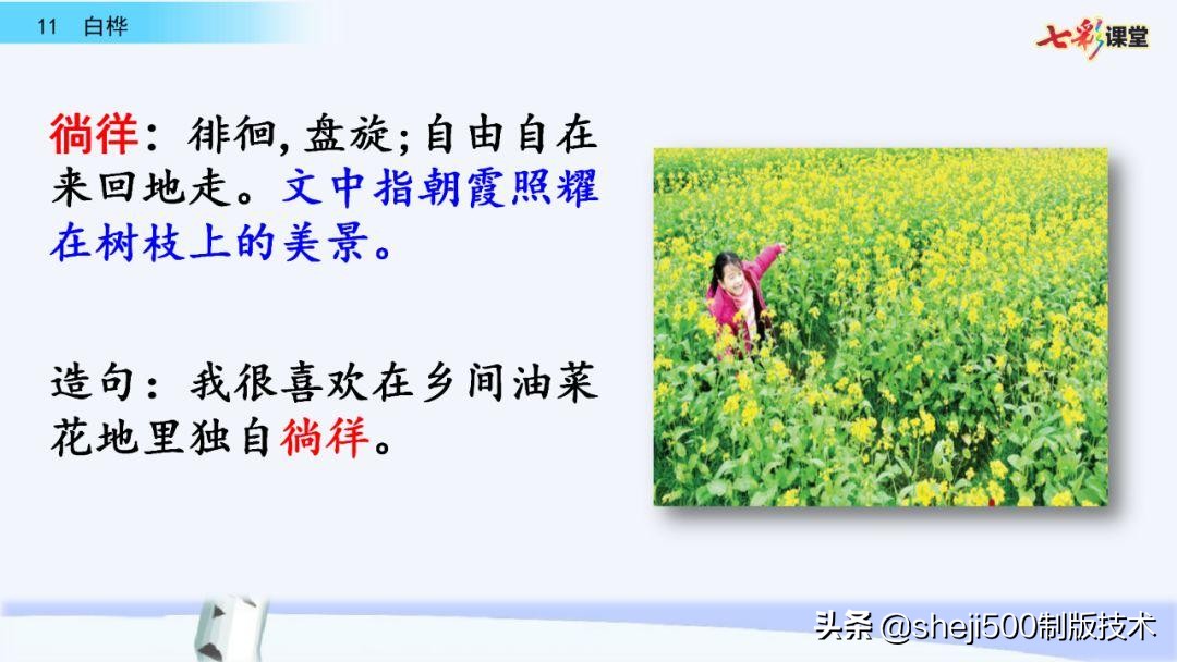 语文教科书四年级下册11课白桦,四年级语文书下册白桦讲解及预习