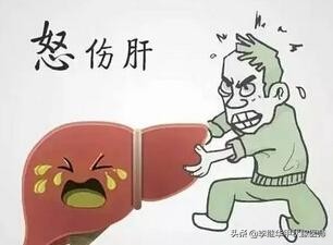 一文读懂甲亢的诊断与治疗,怎么减缓甲亢对肝的损伤