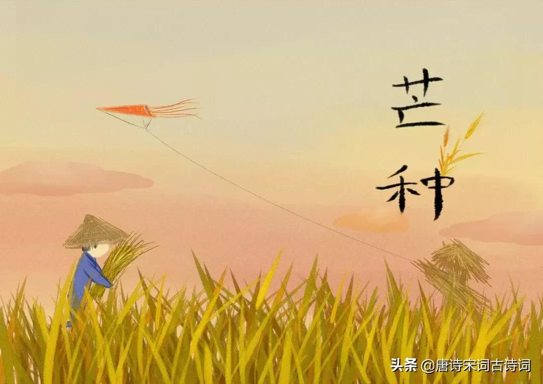 芒种诗词大全300首,最美芒种诗十首