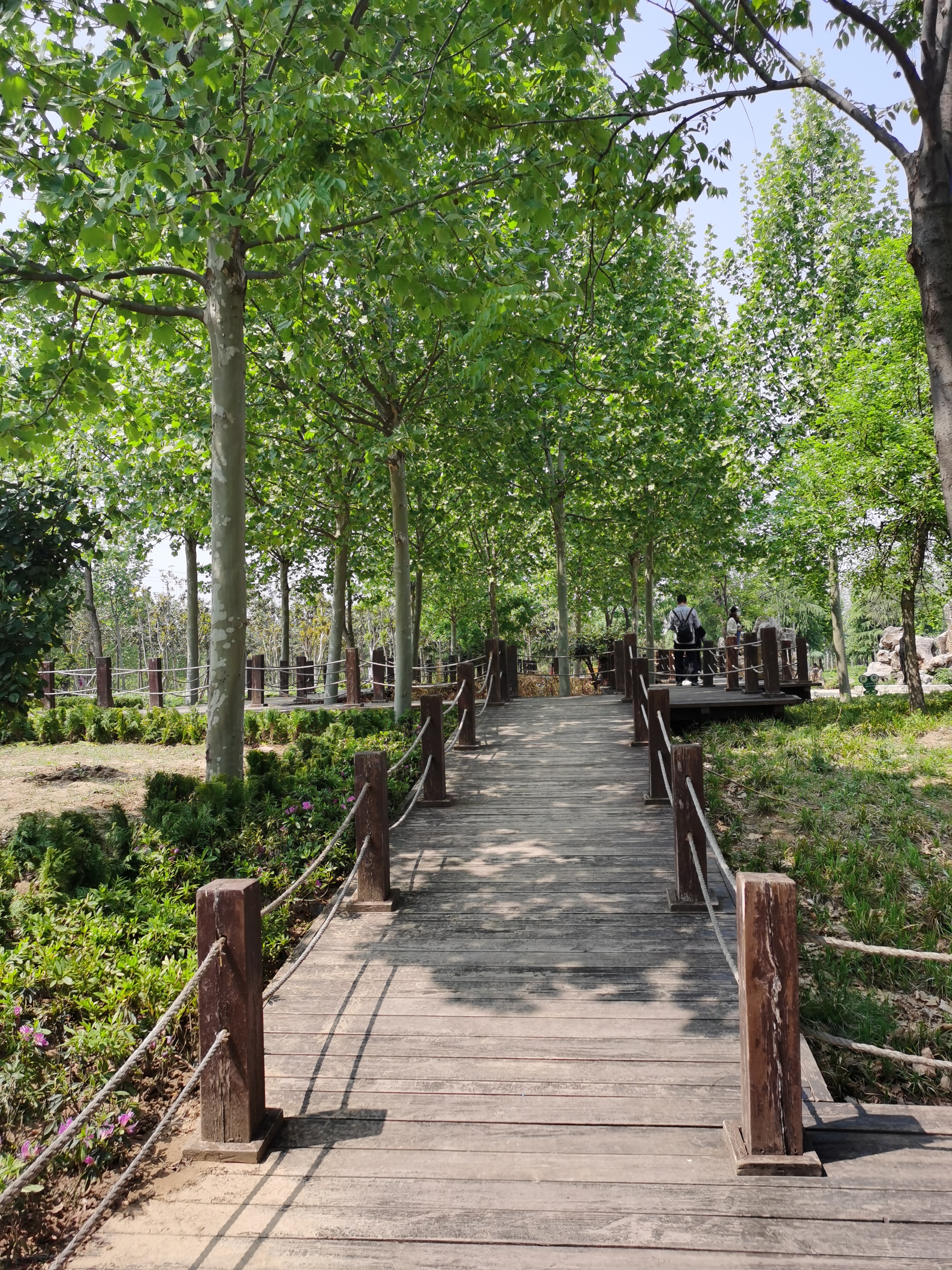 5.1免费公园遛娃好去处,网友推荐郑州树木园游玩好去处