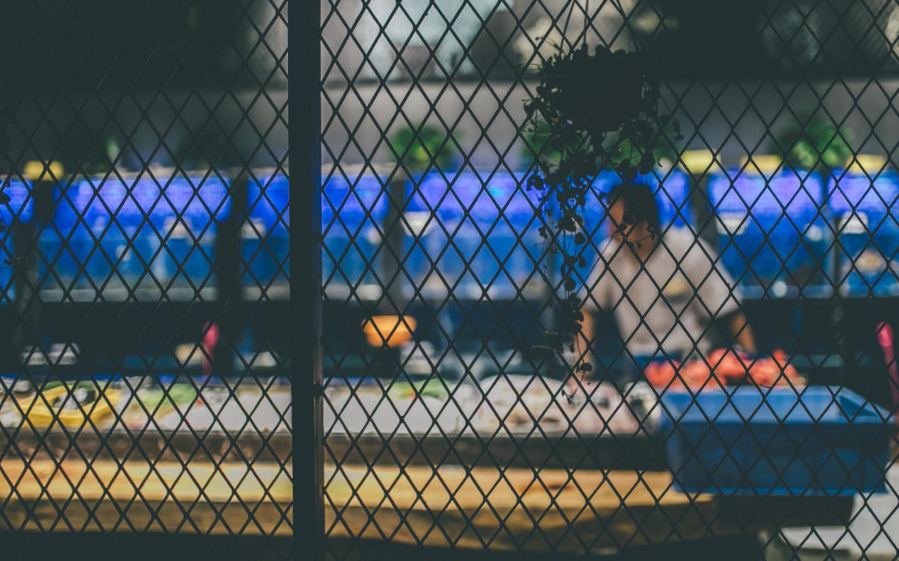 品尝厦门最美味的海鲜大餐,探索厦门风光体验海鲜盛宴