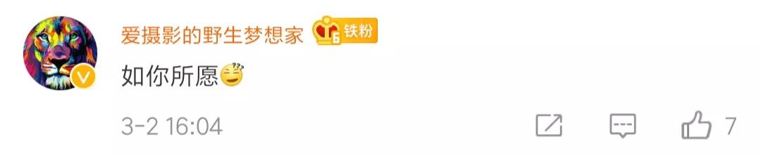 男子诈骗几十万被抓,男子诈骗1000元被抓