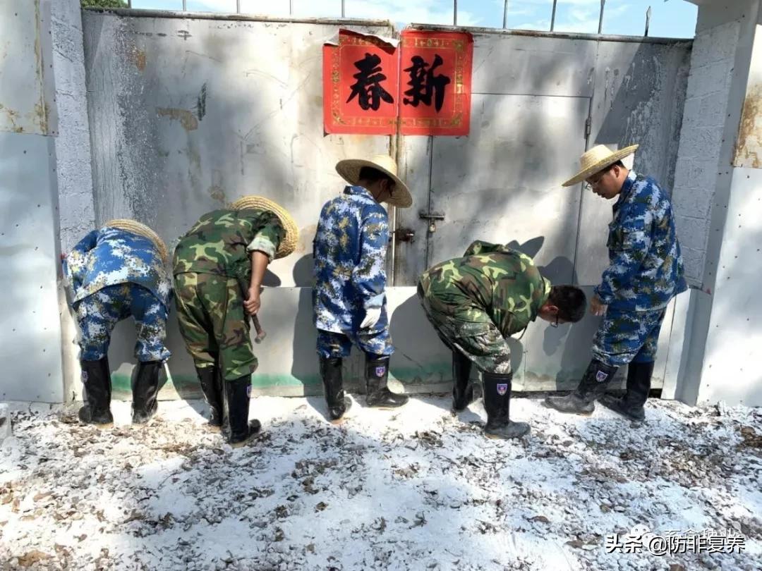 非瘟预防消毒,非瘟防控刻不容缓