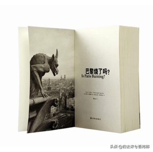 巴黎烧了吗读书笔记,巴黎烧了吗在线阅读