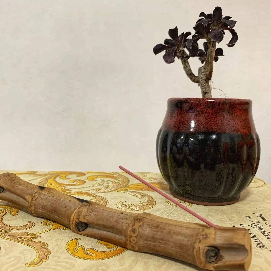 按头安利！5块钱淘宝好物，解决最难搞的收纳问题