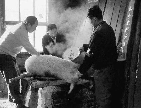 采访18岁的人,80后到00后的童年经历简介