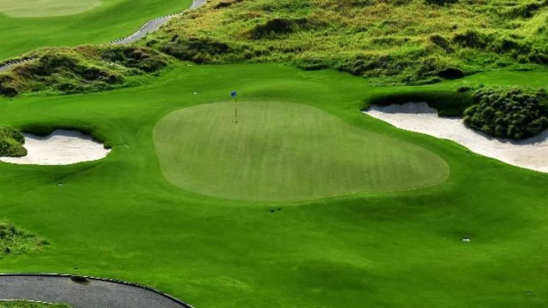 新高尔夫2023,新高尔夫赛