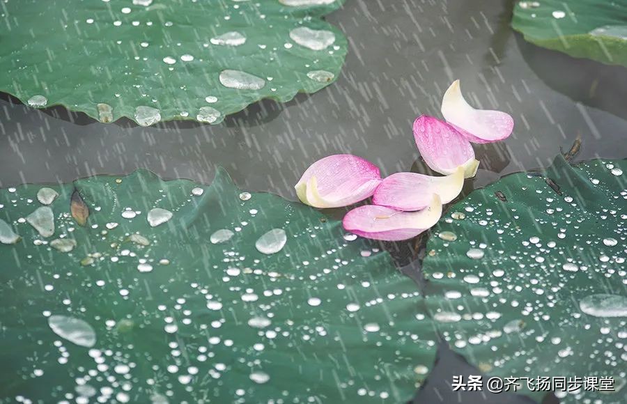 描写夏天的成语题10道,常见描写夏天的成语