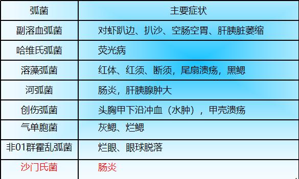 工厂化养殖对虾偷死原因,对虾养殖失败经历