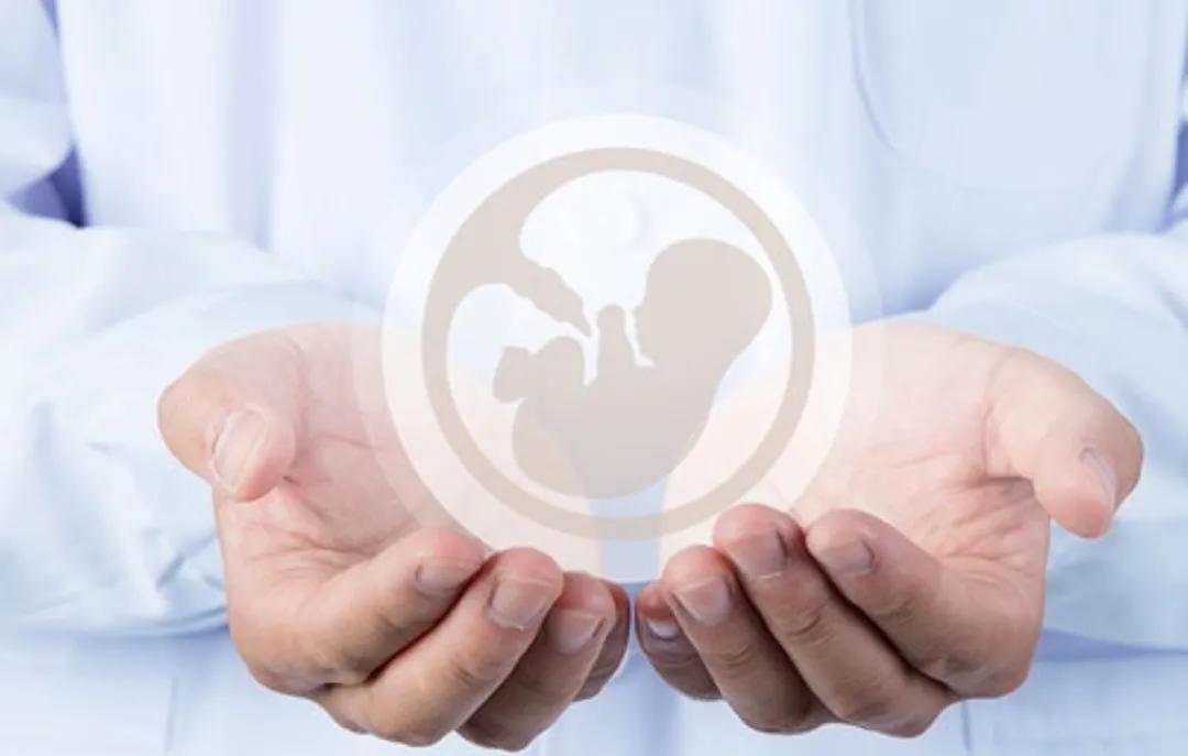 怀孕b超检查没有胎心怎么回事,为什么产检b超单不显示怀孕周数