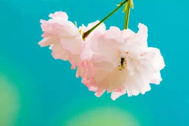 让你醍醐灌顶的一句话，句句实诚，总有一句是你最喜欢的！